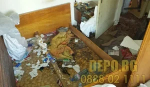 Какви рискове създават неподдържаните дворове с гъста растителност